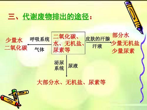 人体中含有尿素吗尿素过高有什么影响(图2)