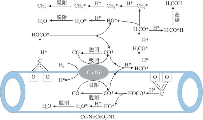 【好文推荐】杨军梁丽烨李华等｜稀土元素改性CO2加氢制甲醇催化剂的研究进展(图4)