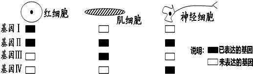 下列不属于内环境成分的物质是(图6)