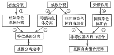 下列不属于内环境成分的物质是(图1)