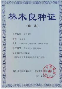 树型金银花新品种“金花3号”(图5)