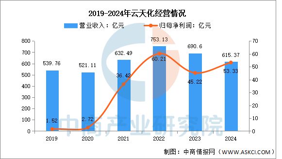 2025年中国磷化工行业市场前景预测研究报告(图8)