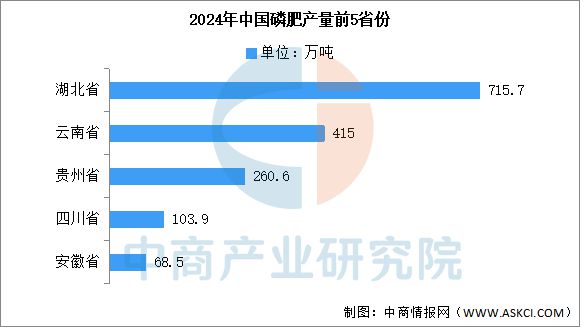2025年中国磷化工行业市场前景预测研究报告(图7)