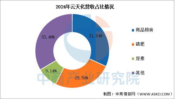 2025年中国磷化工行业市场前景预测研究报告(图9)