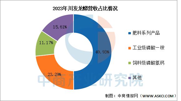 2025年中国磷化工行业市场前景预测研究报告(图15)