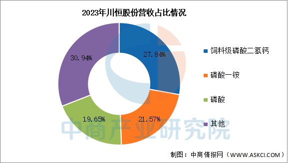 2025年中国磷化工行业市场前景预测研究报告(图13)
