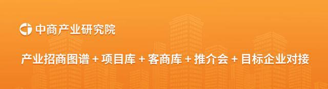 2025年中国磷化工行业市场前景预测研究报告(图18)
