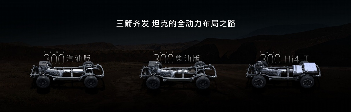 2025款坦克300上市：三种动力齐发1998万元起(图3)