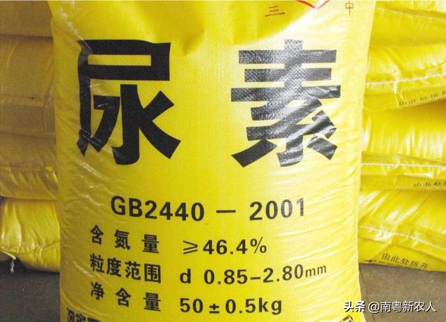 尿素为什么能当叶面肥？当叶面肥需要注意什么问题？