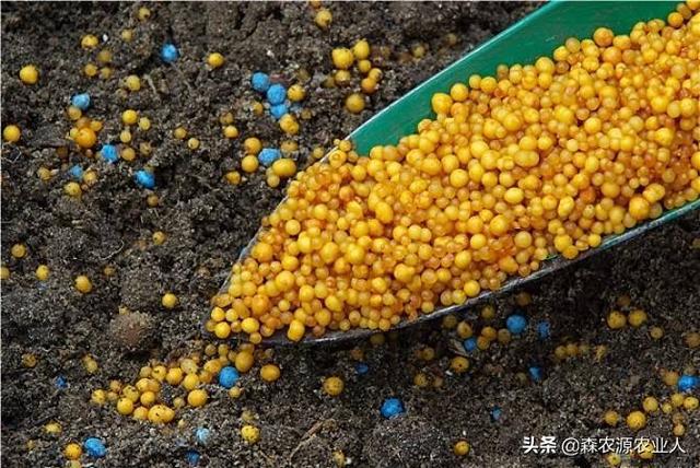 农朋友们来学习一下化学肥料的性质与施用(图2)