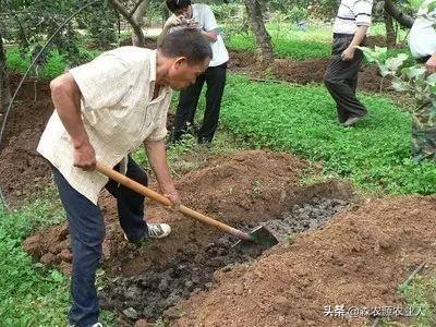 农朋友们来学习一下化学肥料的性质与施用(图8)