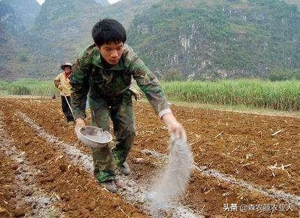 农朋友们来学习一下化学肥料的性质与施用(图5)