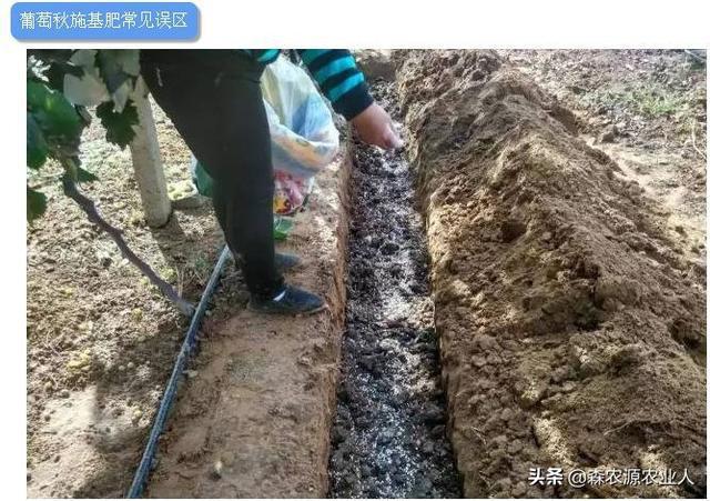 农朋友们来学习一下化学肥料的性质与施用(图9)