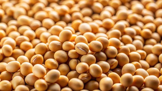 大豆种植要用对方法正确施肥大豆才能高产(图3)