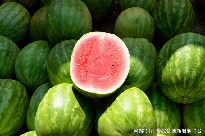 西瓜施什么肥料才长得好？(图3)