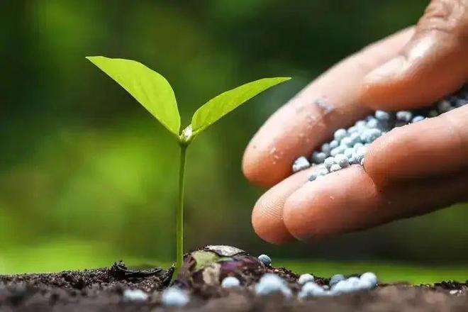 2025年生物肥行业趋势与市场前景、政策分析！(图2)
