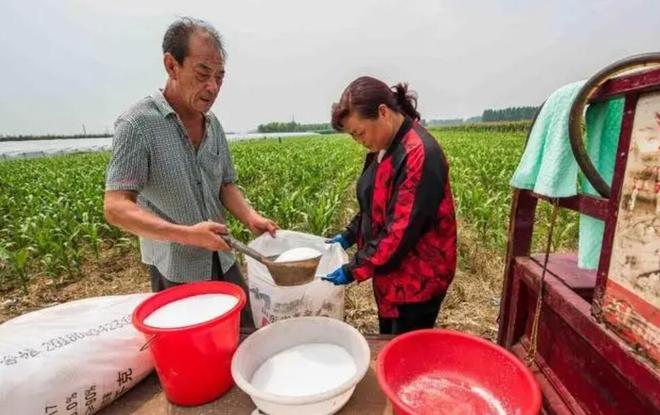 “尿素”作为种植界极为普通的肥料看似使用简单实则问题超多(图7)