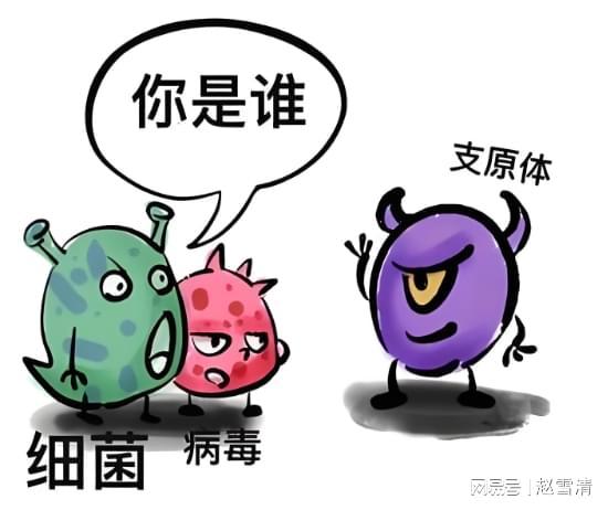 汇总：解脲支原体中药治疗期间饮食禁忌有哪些(图1)
