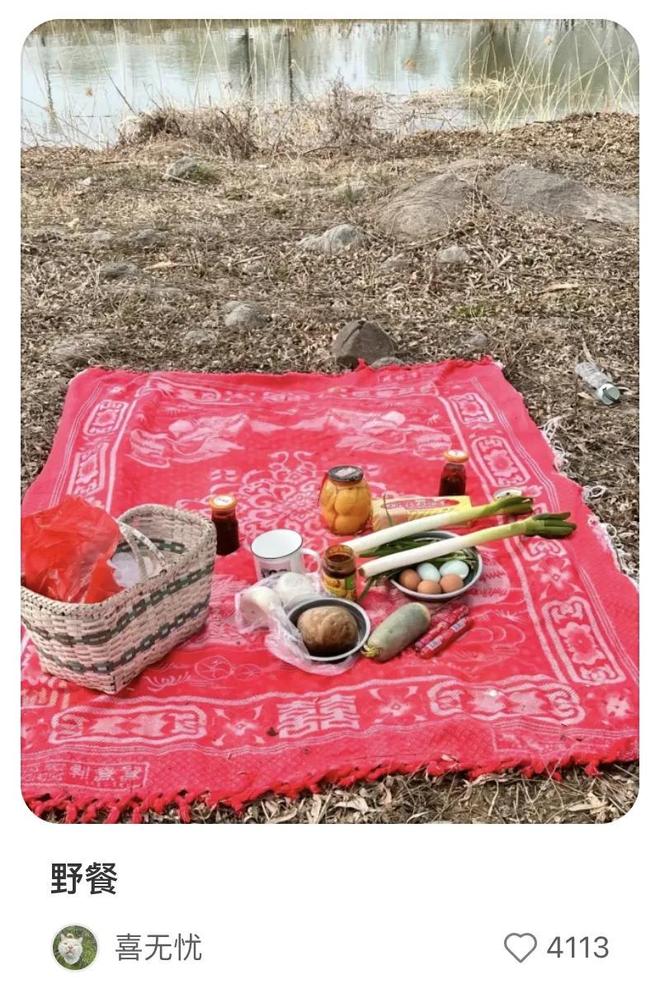 尿素袋野餐爆火！这届年轻人正在用“寒酸美学”对抗消费主义(图12)