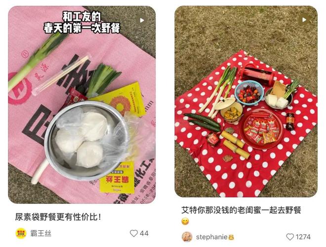 尿素袋野餐爆火！这届年轻人正在用“寒酸美学”对抗消费主义(图4)