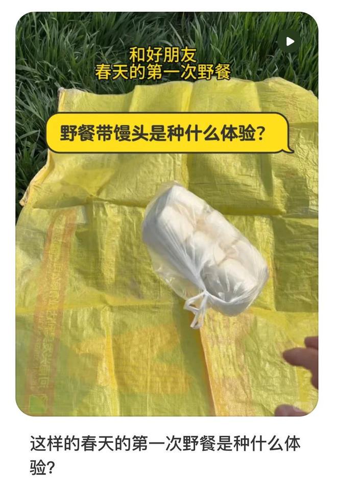 尿素袋野餐爆火！这届年轻人正在用“寒酸美学”对抗消费主义(图13)