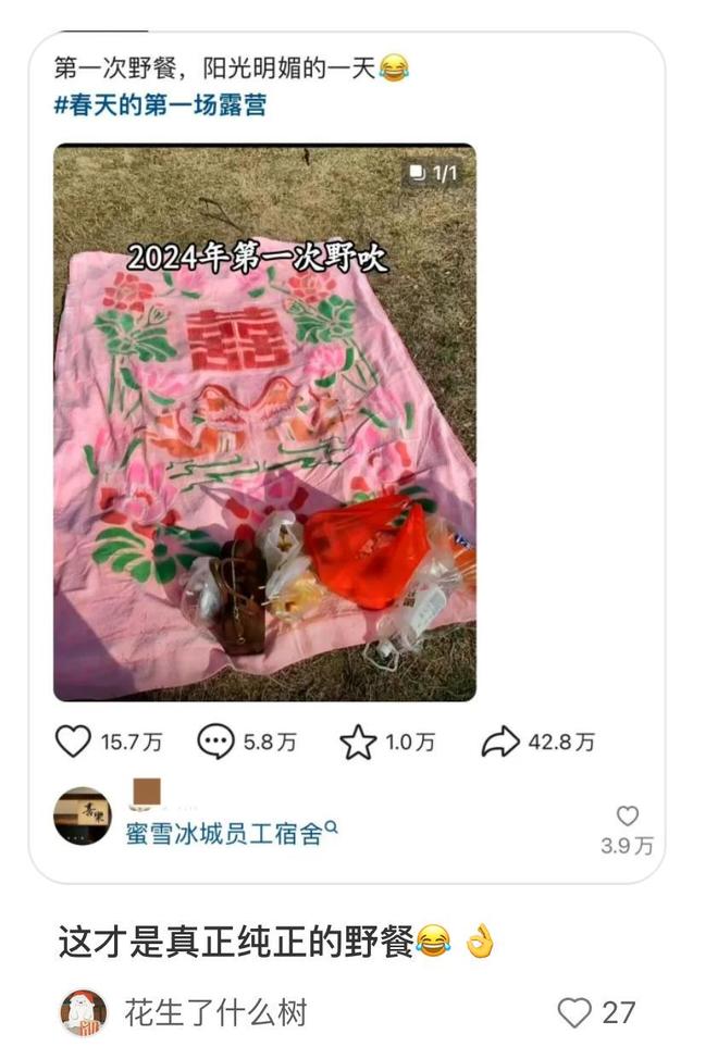 尿素袋野餐爆火！这届年轻人正在用“寒酸美学”对抗消费主义(图24)
