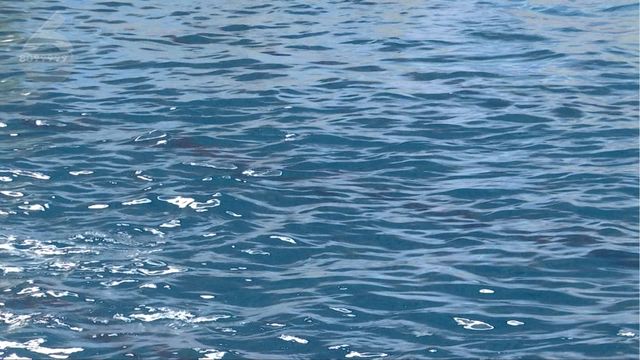 4月昆明这7家游泳场所水质不合格(图6)