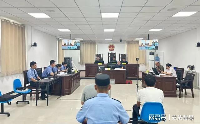 5吨野生甘草险成草料！牧民误割被查采两棵就定罪咋回事？(图3)