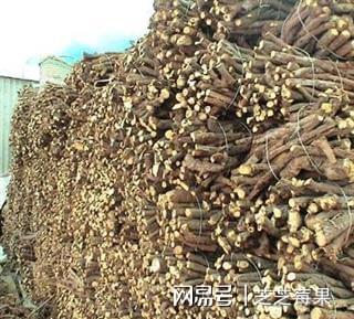 5吨野生甘草险成草料！牧民误割被查采两棵就定罪咋回事？(图5)
