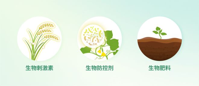 解锁作物健康的绿色密码！亿万微生物助力第三届西南植保双交会(图1)