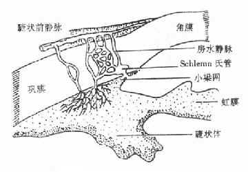 房水_《眼科学》_中医五官书籍_【岐黄之术】(图2)