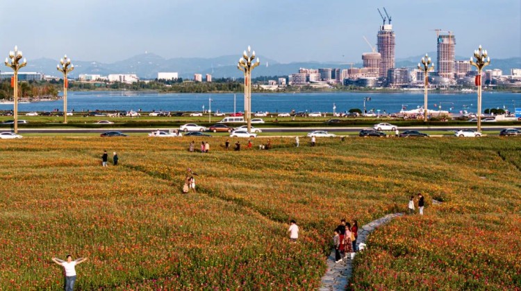 四川天府新区：绘就“绿色世运”与“公园城市”交织共融的活力画卷(图1)