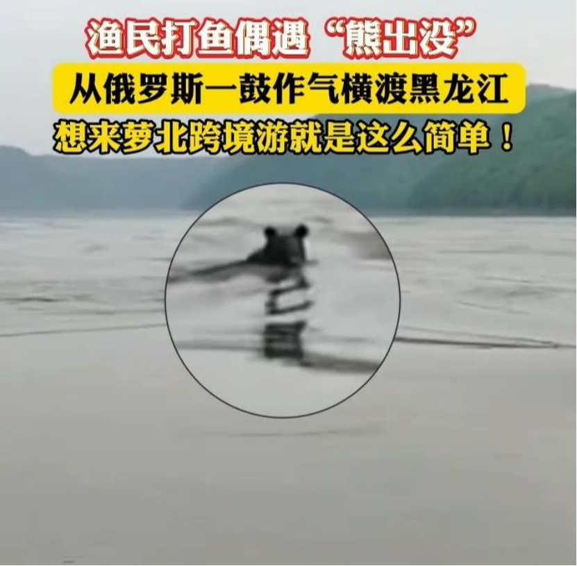 【8点见】男子跳入兵马俑坑推倒兵马俑通报(图6)