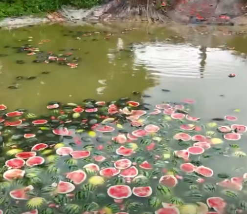 【8点见】男子跳入兵马俑坑推倒兵马俑通报(图5)