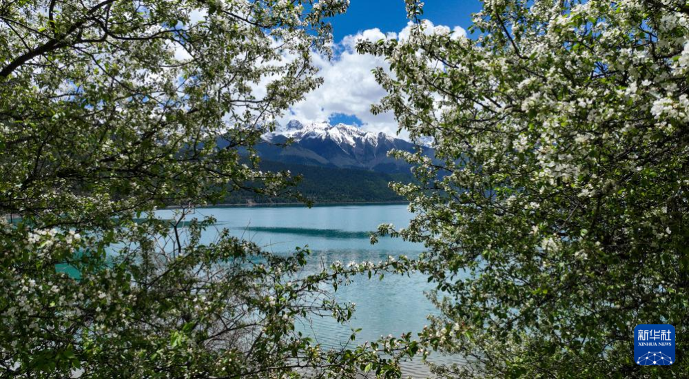 【8点见】男子跳入兵马俑坑推倒兵马俑通报(图11)