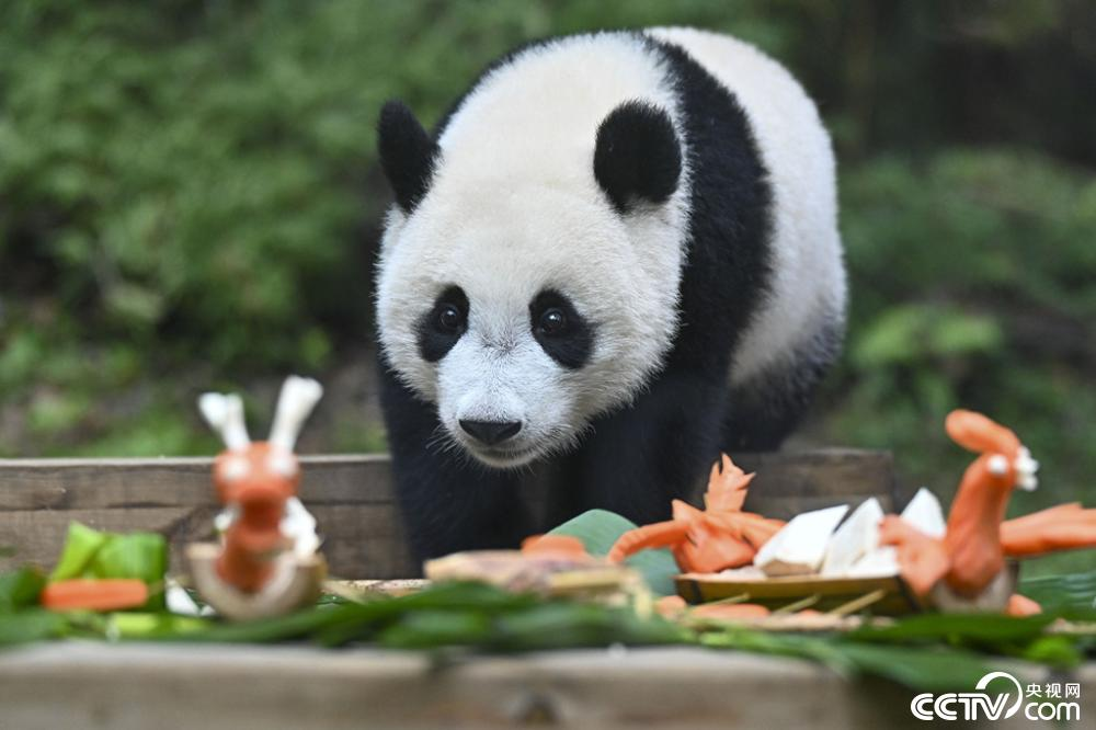 【8点见】男子跳入兵马俑坑推倒兵马俑通报(图12)