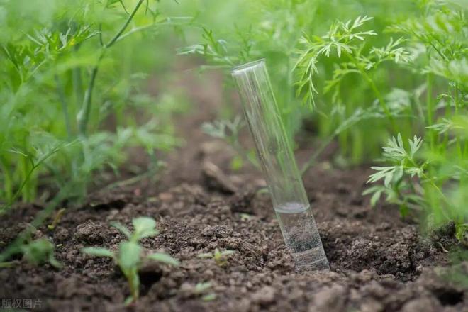 “假肥料”坑农事件频发：农民如何练就火眼金睛辨别肥料真伪？(图3)