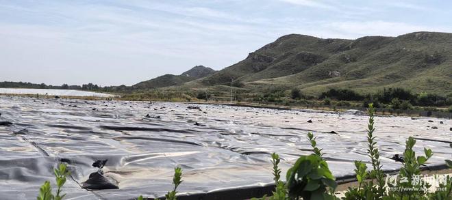 河北产业向“绿”而行:环保服务激活企业内生动力(图1)