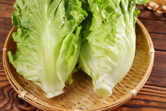 种植生菜施用什么肥料好？(图3)