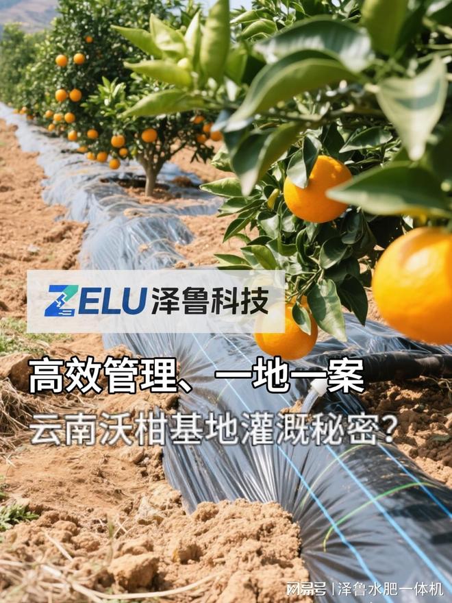 少花钱多收粮！水肥一体化让种植省工省肥还环保(图1)