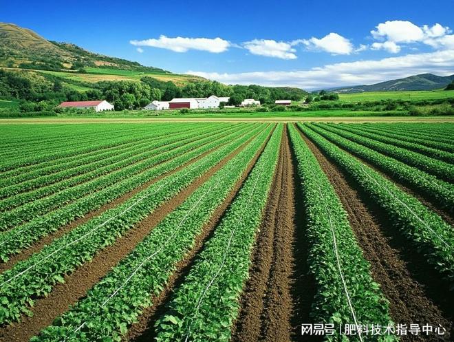 肥料登记证地址能跨省迁移吗？(图1)