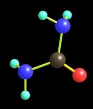 由碳、氮、氧和氢组成的有机化合物(图3)