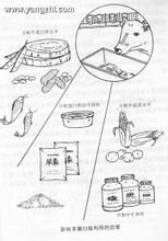 由碳、氮、氧和氢组成的有机化合物(图6)