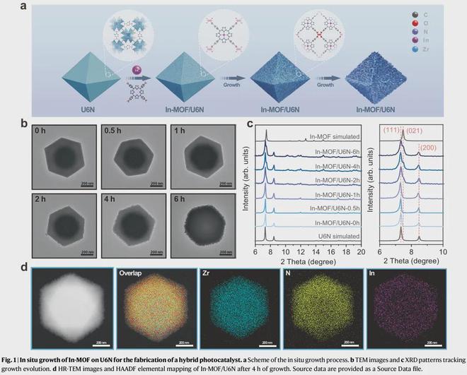 NatureCommunications:太阳能驱动的大气中CO2与氨直接偶联合成尿素(图2)