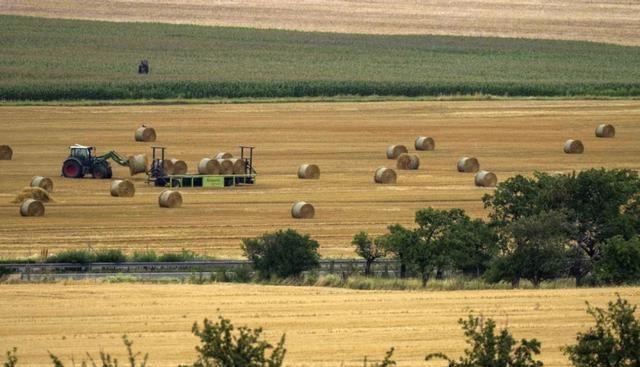 欧洲猛然发现：俄罗斯掌握了自己的另一命门制裁破洞让普京赚翻(图1)