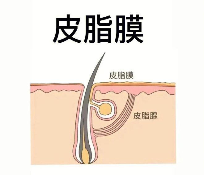 冬季皮肤干痒真是“干”的错吗?(图2)