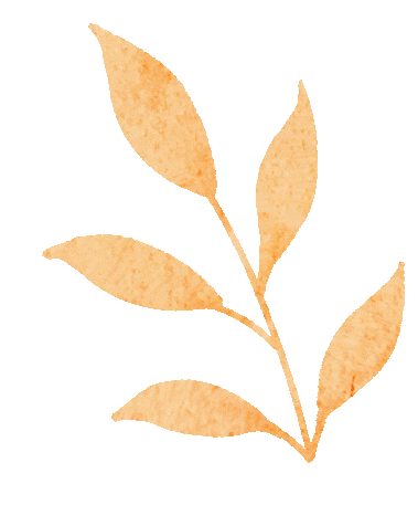 告别无效补水!秋冬皮肤干燥不仅是缺水更是屏障“破防”了(图2)