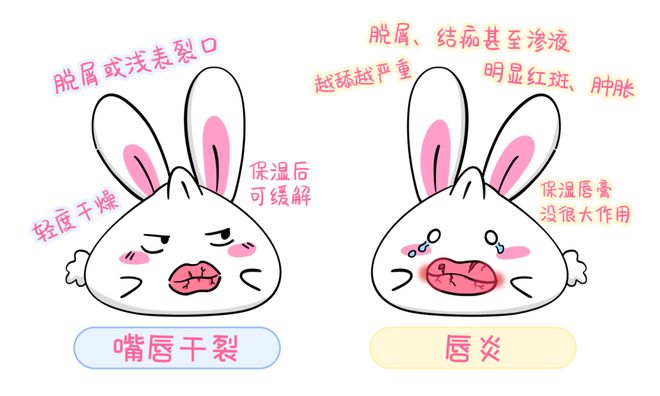 告别无效补水!秋冬皮肤干燥不仅是缺水更是屏障“破防”了(图6)