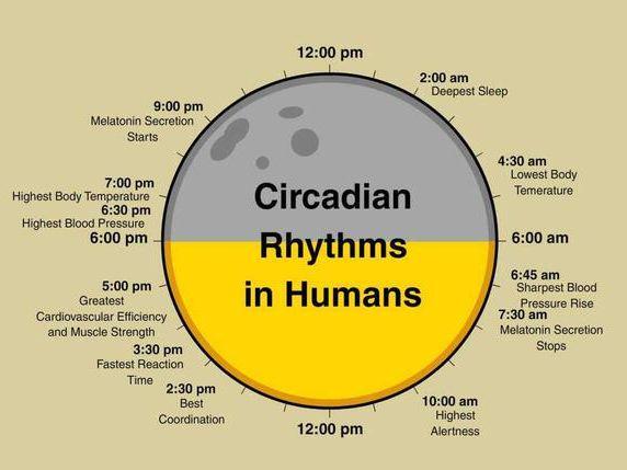 10分钟治愈失眠?最新“一针疗法”走红5亿失眠党的救星来了(图3)