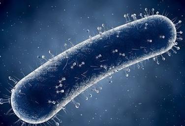 幽门螺旋杆菌防不胜防？简单易行的方法关键时刻能救命！(图2)